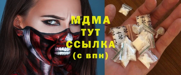 стаф Алзамай