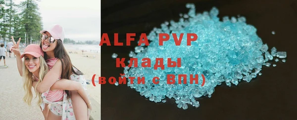 гашик Алексин