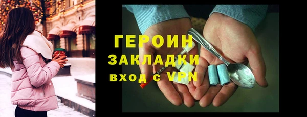 стаф Алзамай