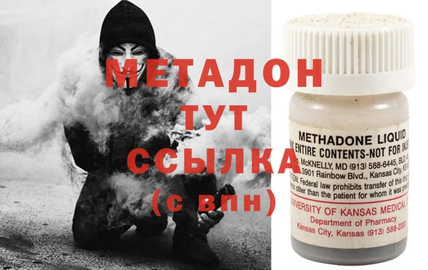 стаф Алзамай