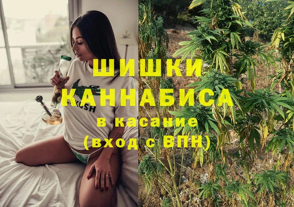 гашик Алексин