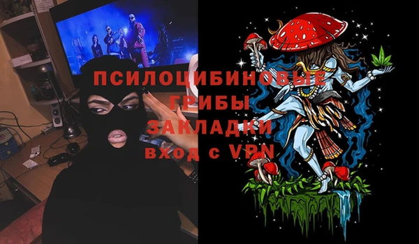 гашик Алексин