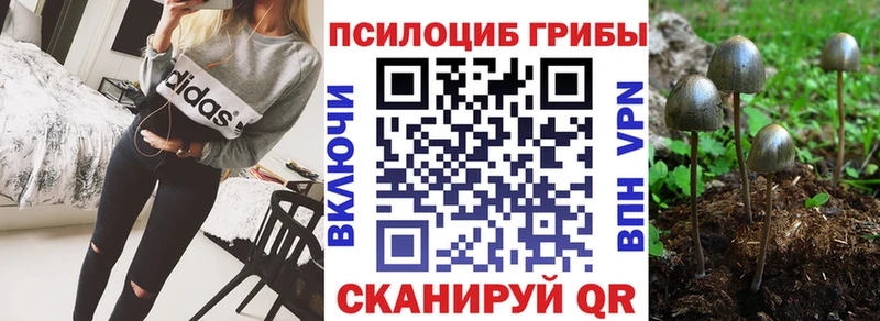 Псилоцибиновые грибы MAGIC MUSHROOMS  магазин  наркотиков  darknet как зайти  Струнино 